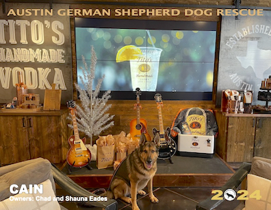 Austin German Shepherd Dog Rescue Calendar