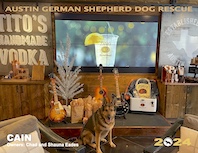 Austin German Shepherd Dog Rescue 2024 Calendar