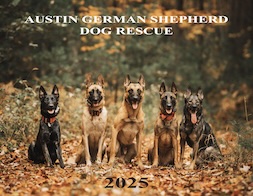 2025 Austin German Shepherd Rescue Calendar with 5 shepherds on cover