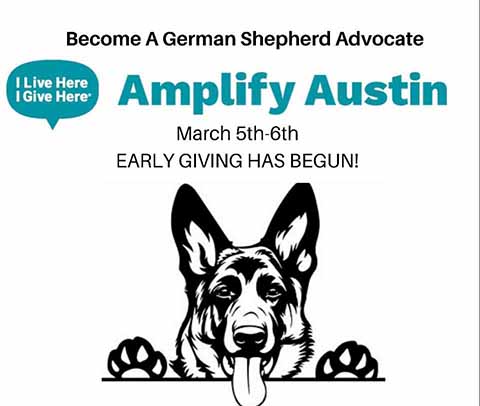 Become a german shepherd advocate- Amplify Austin March 5 - 6