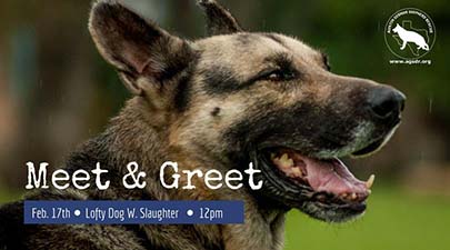 Meet and Greet Lofty Dog February 27 at noon