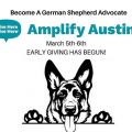 Become a German Shepherd Advocate. Amplify Austin March 5 - 6