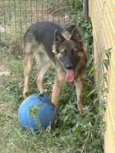 Eve with her ball