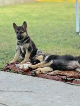 Mija with one of her siblings