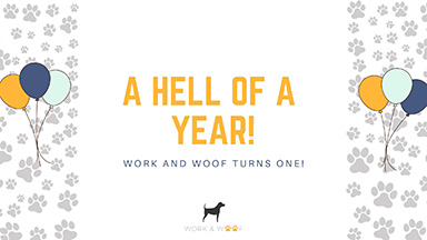  A Hell of a Year Work and Woof's One Year Anniversary